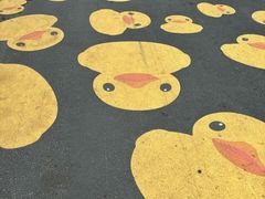 -馔豚·台北菜专门店(深圳湾万象城店)