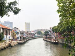 -马六甲鸡场街