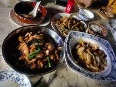 -鲤鱼塘农家山庄