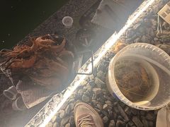 -DGE季风钓虾营地·团建·聚会