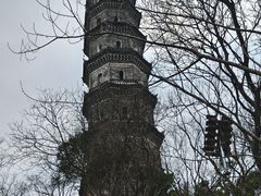 -巢湖姥山岛