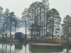 -东湖落雁景区