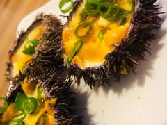 -海胆小馆(东北水饺·春柳店)