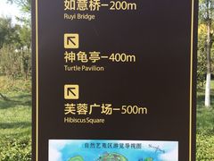 导游图-东丽湖风景区