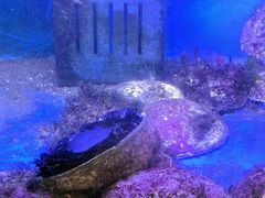 -渔洲情海鲜酒家