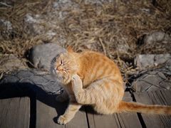 -野鸭湖国家湿地公园