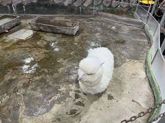 -上海大自然野生昆虫馆(东方明珠·爬宠昆虫探索中心)