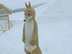 -庙香山滑雪场