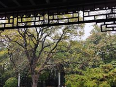 -云龙山