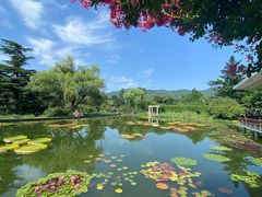 -国家植物园南园