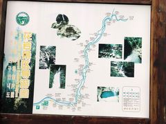 -花岩国家森林公园