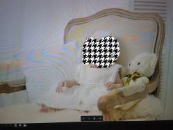 -苹果树儿童摄影工作室