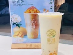 -茉沏(光启城店)