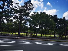 -奈良公园