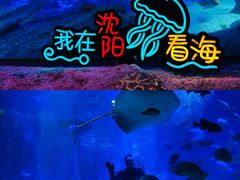 -沈阳海洋探索中心