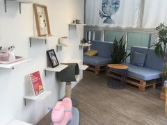 -有猫主题·治愈系猫咖(曾厝垵店)