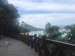 -广州市流溪河国家森林公园