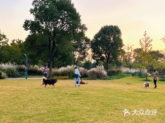 无意中刷到别人推荐南大公园 离家不远就坐了地铁过去