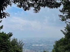 -惠山国家森林公园