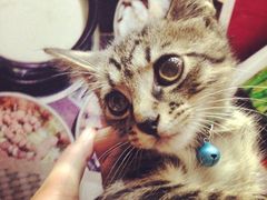 iphone_upload_pic-吉友粥底火锅(方斜路店)