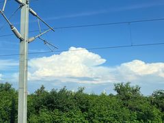 -六月雪干锅(绵阳王府井百货店)