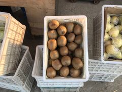 -唐桥水果批发市场