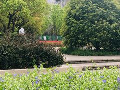 -新江湾城公园