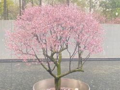 -芙贝佳禾·痘肌管理中心