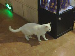 -逃脱反斗城沉浸剧情密室(北京路店)