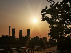 -映月湖中央公园