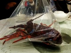 android_upload_pic-金唐海鲜酒家