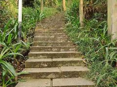 -东莞植物园
