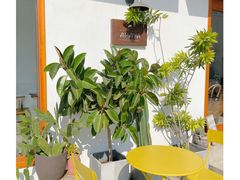 -AHAVA·Fang Baking Studio
