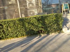 -吕氏疙瘩汤·私家菜馆(慈云寺店)