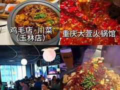 -成都大熊猫繁育研究基地