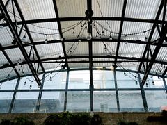 -Tubestation站点比萨(五道营店)