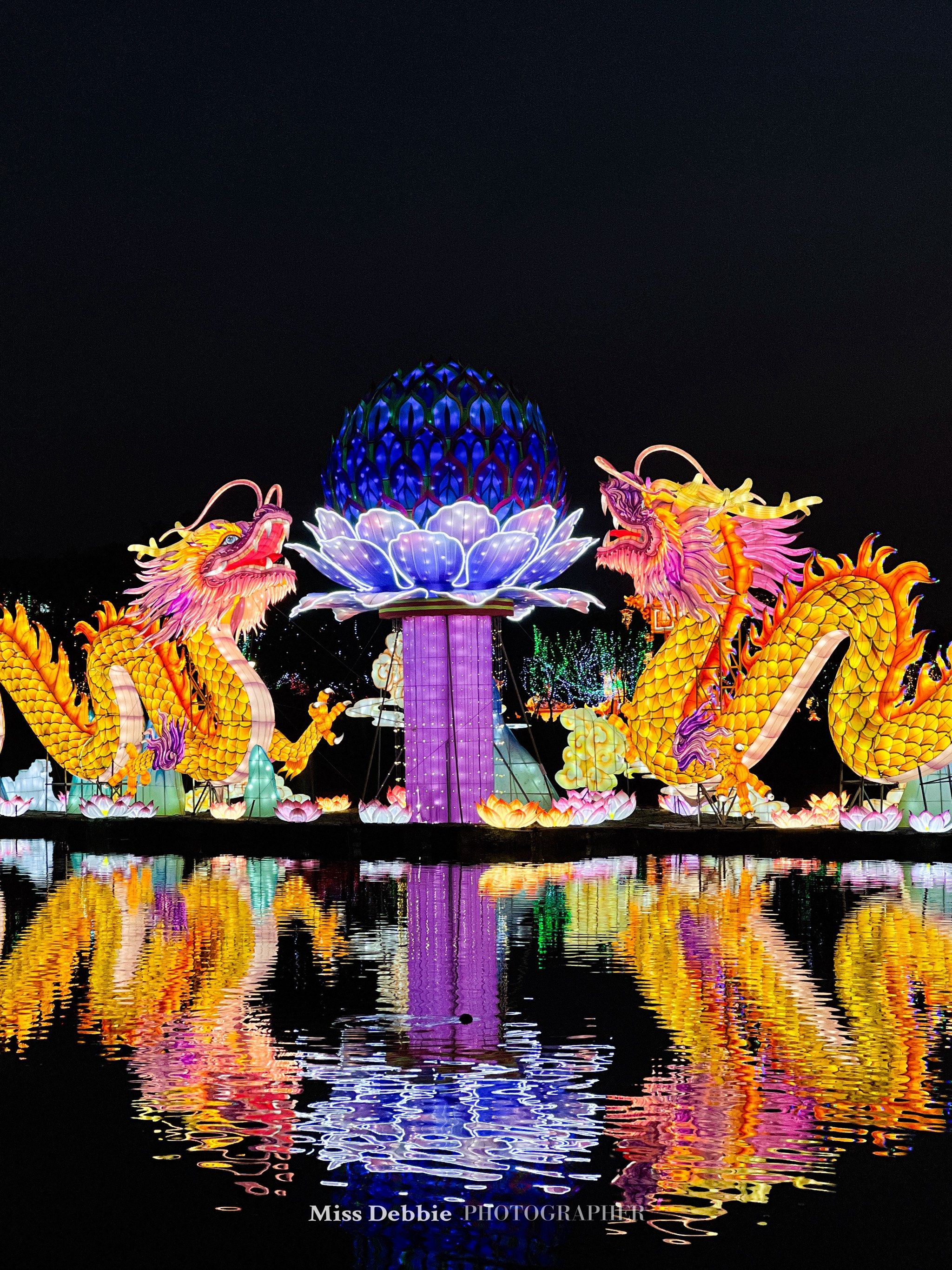 南宁99青秀山灯会太美了6015