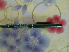 -洛阳郁金香牡丹园