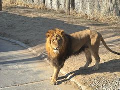 -北京野生动物园