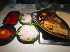 -新辣道鱼火锅(西直门店)