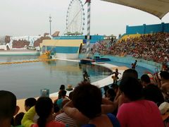 android_upload_pic-秦皇岛乐岛海洋王国
