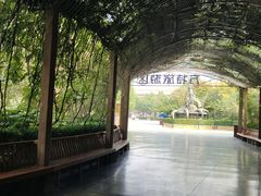 -郑州方特梦幻王国