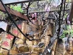 -龙口南山旅游景区