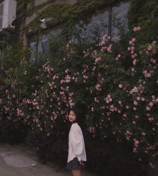 -Y-STUDIO原理