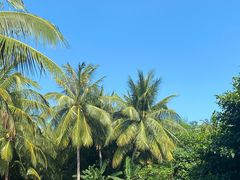 -三亚湾海居铂尔曼度假酒店