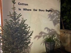 -COTTON CAFE(德信·中外公寓店)