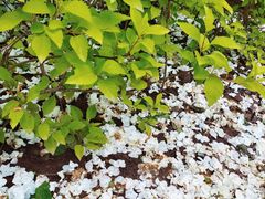 -大龙山(地铁站)