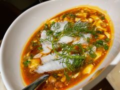 天府豆花鱼-梧桐