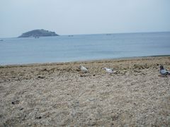 -傅家庄公园