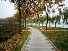 -咸阳湖景区-古渡公园